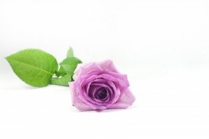 ID-10022427